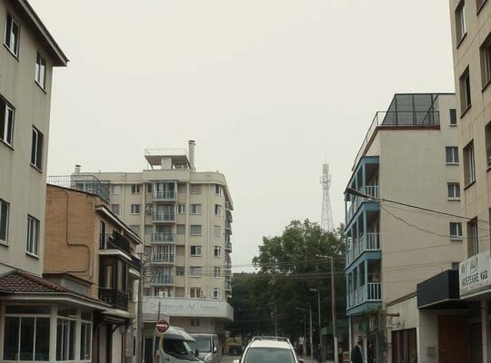 German Minister Criticizes ZDF Over Hamas Connection