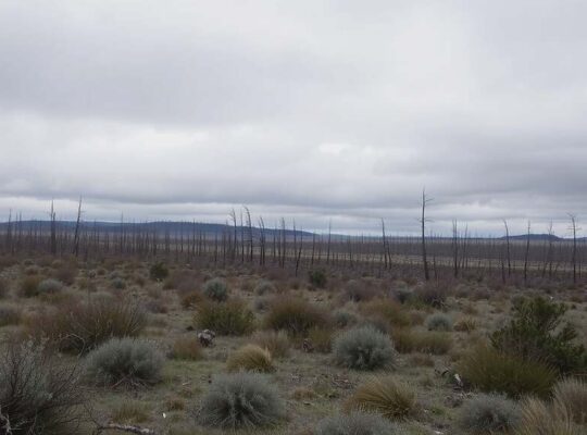 Earth's Vital Signs Hit Record Levels, Raising Alarm