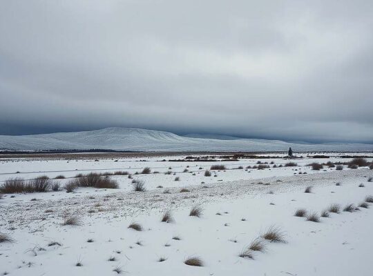 Estonian Leader Predicts Heavy Russian Losses, Signals Potential War Shift