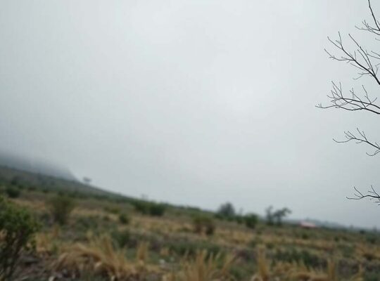 Germany Narrows Search for Nuclear Waste Repository