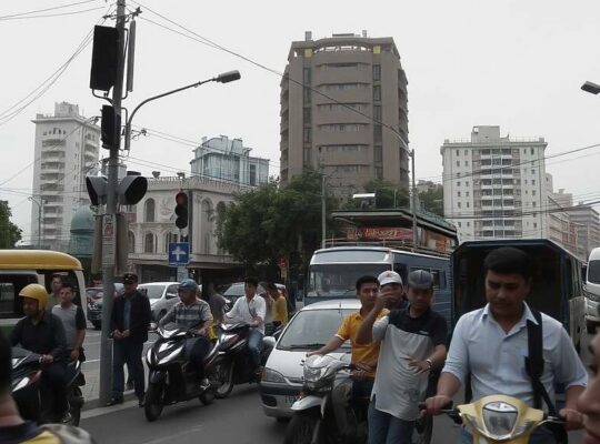 Greens Urge Party to Broaden Focus, Avoid Political Niche