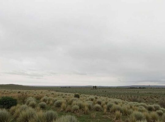 Eon Predicts Lower Energy Prices in 2026, Cites Cost Relief