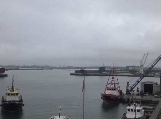 Rotterdam Port Braces for Declining Volumes in 2025