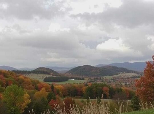 German Tourism Posts Record Year Despite Slight November Dip