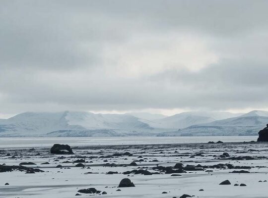 Germans Back Defending Greenland in Hypothetical US-Denmark Conflict
