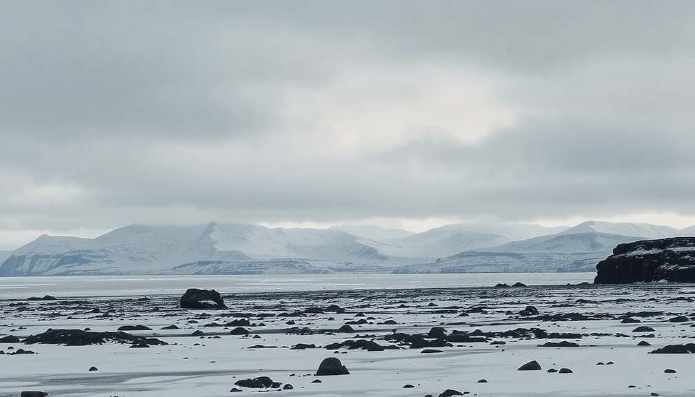 Germans Back Defending Greenland in Hypothetical US-Denmark Conflict