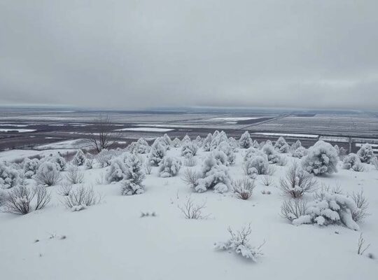 Germany Ends Severe Weather Alerts, Rail Disruptions Persist