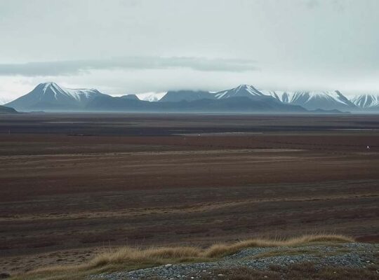 Germany Urges Constructive Dialogue with US on Greenland