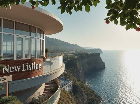 Engel & Völkers Report Highlights Skyrocketing Prices Amid Scarcity and 'Coolcation' Trend