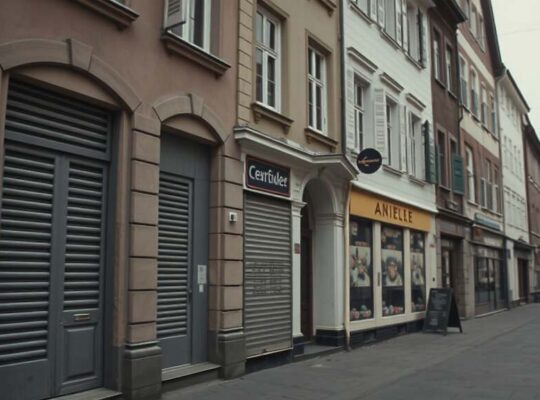 German Businesses Face Existential Crisis Amid Weak Demand, High Costs, and Supply Chain Woes