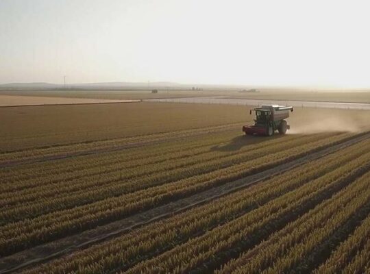 EU Mobilizes Massive Aid Package to Support Farmers Amid Fertilizer Crisis